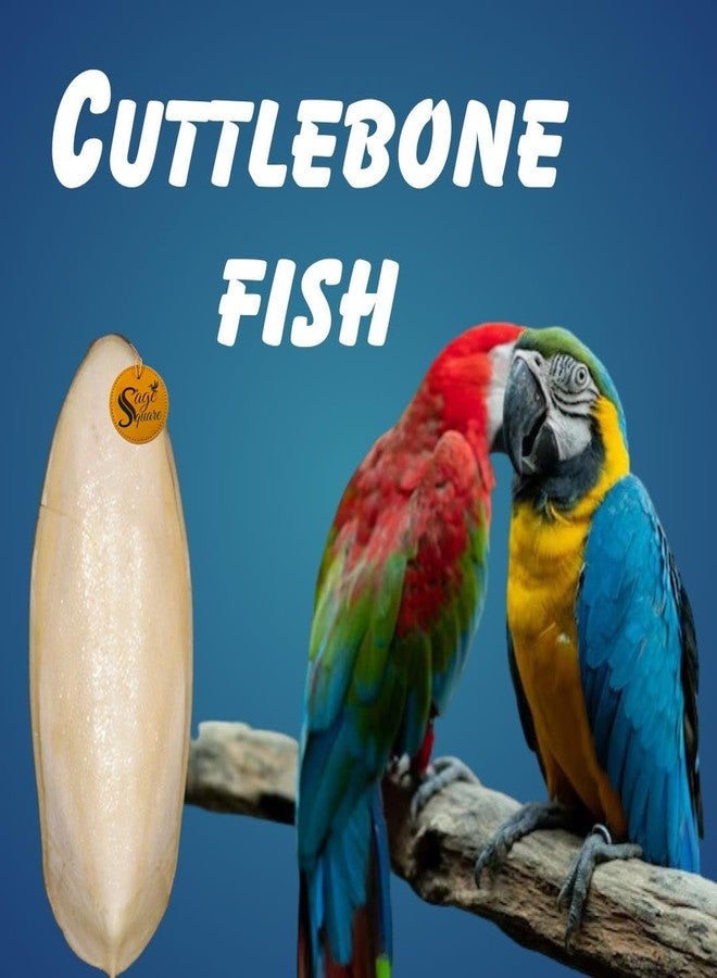 سايج سكوير عظم حبار مربع من سيج - 100 غرام من عظام الحبار الممتازة للطيور والزواحف | غني بالكالسيوم | مكمل غذائي أساسي لجميع مراحل الحياة | مكمل معدني أساسي للطيور - Image 2